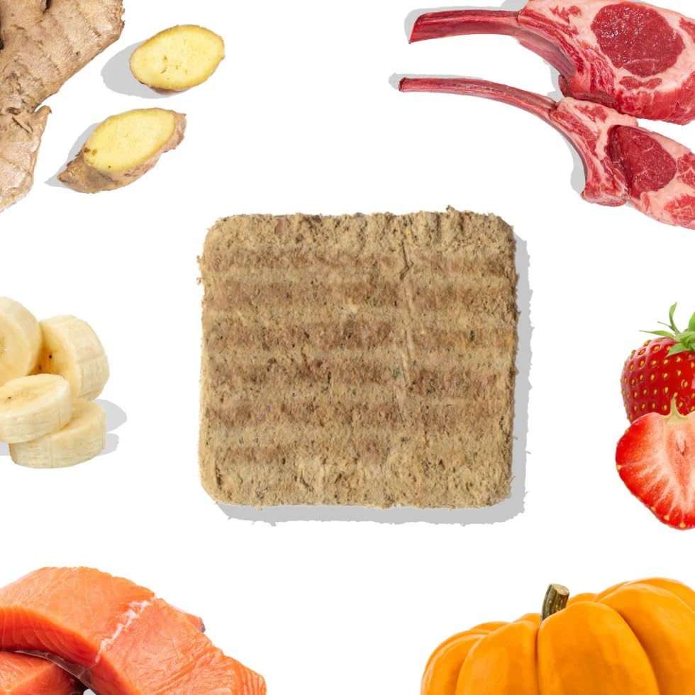 Primer plano de la textura seca de Healthybud, preservando nutrientes