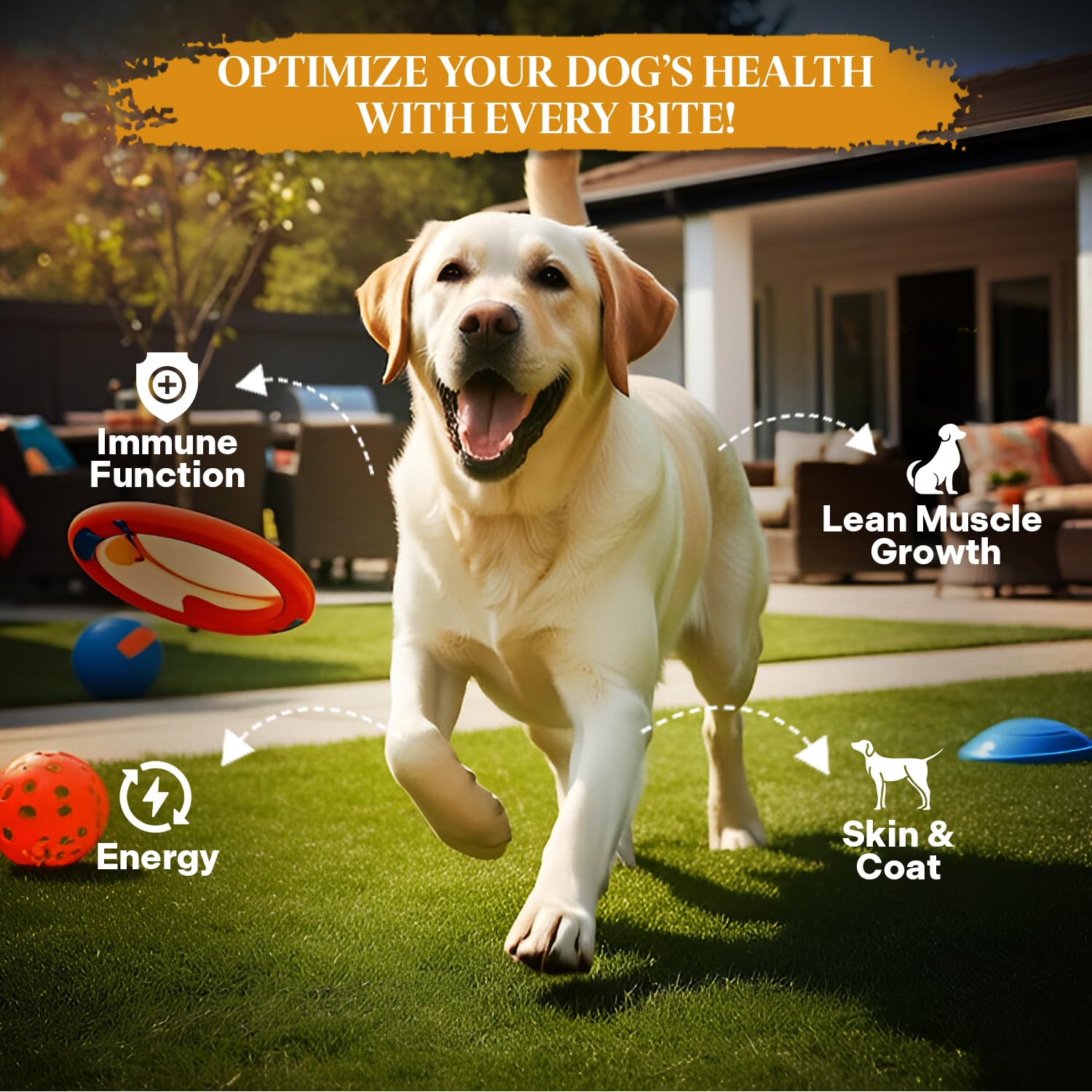 Healthy Dogma PetMix Ingredientes Clave Res, con espinaca y quinoa para una dieta equilibrada.