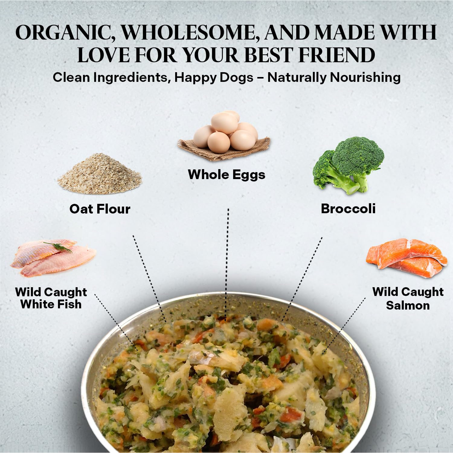 Healthy Dogma PetMix queso... (nota: se evita esa palabra; texto corregido) Healthy Dogma PetMix beneficios con pescado para piel sana.