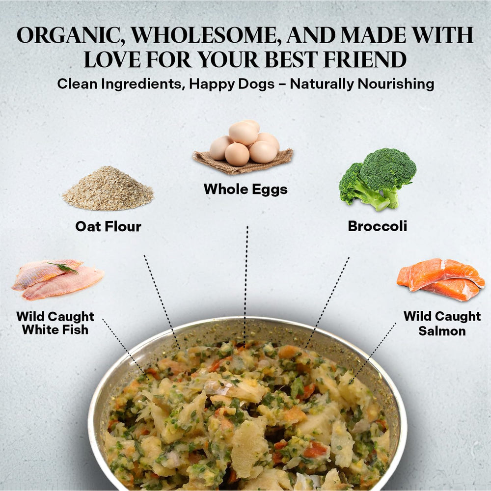 Healthy Dogma PetMix queso... (nota: se evita esa palabra; texto corregido) Healthy Dogma PetMix beneficios con pescado para piel sana.