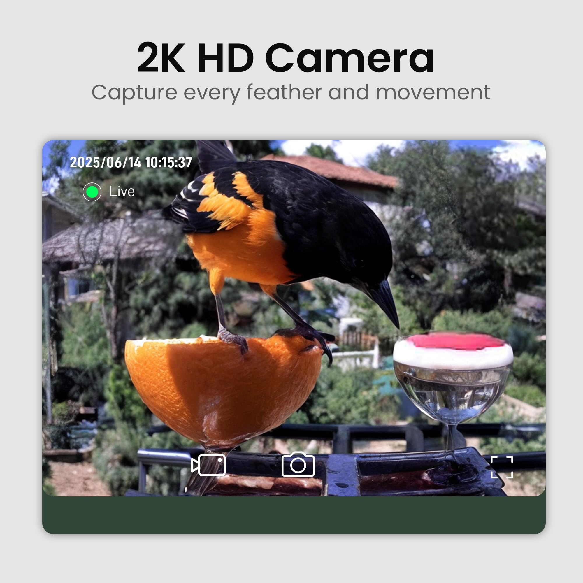 Heapets-alertas-app: notificaciones inmediatas para ver aves en tiempo real