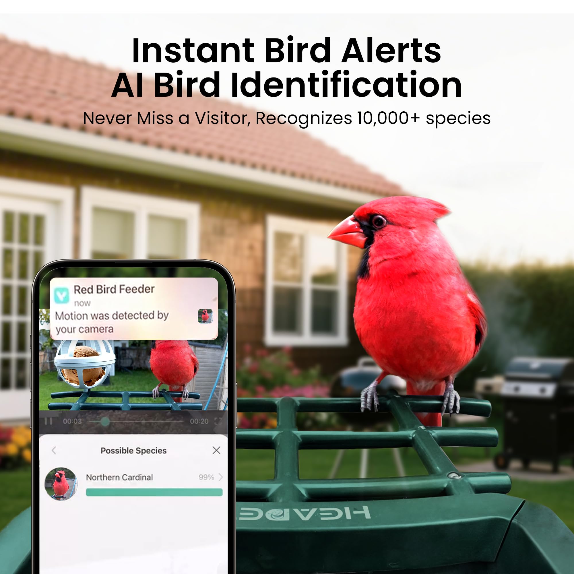 Heapets-reconocimiento-pajaros-ai: identifica especies con precisión