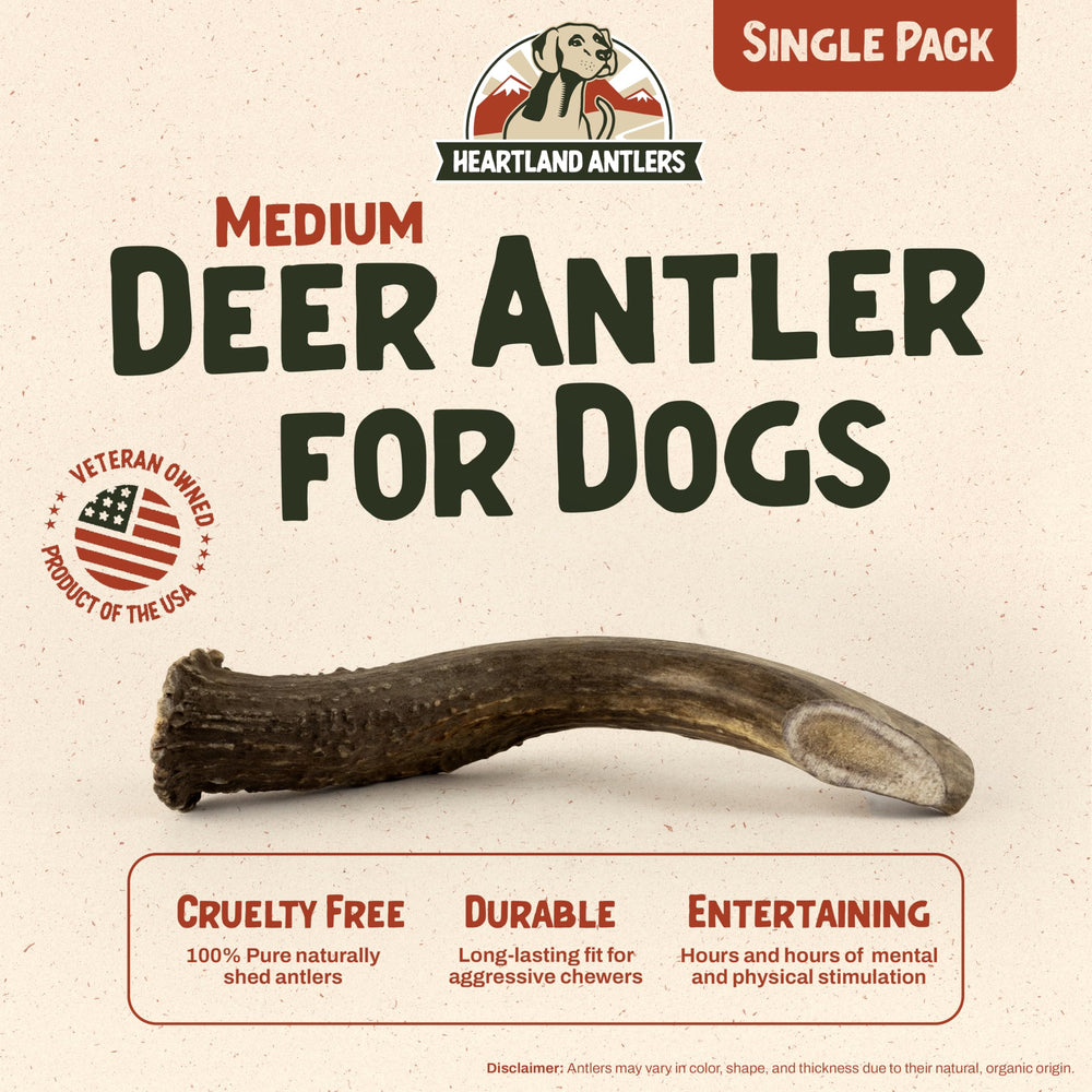 Heartland Antlers: masticación duradera para perros agresivos sin olor.