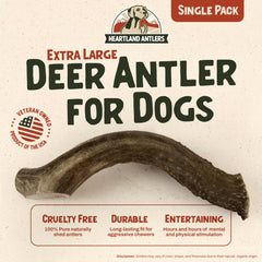 Heartland Antlers mordida dura, ideal para mordedores agresivos.