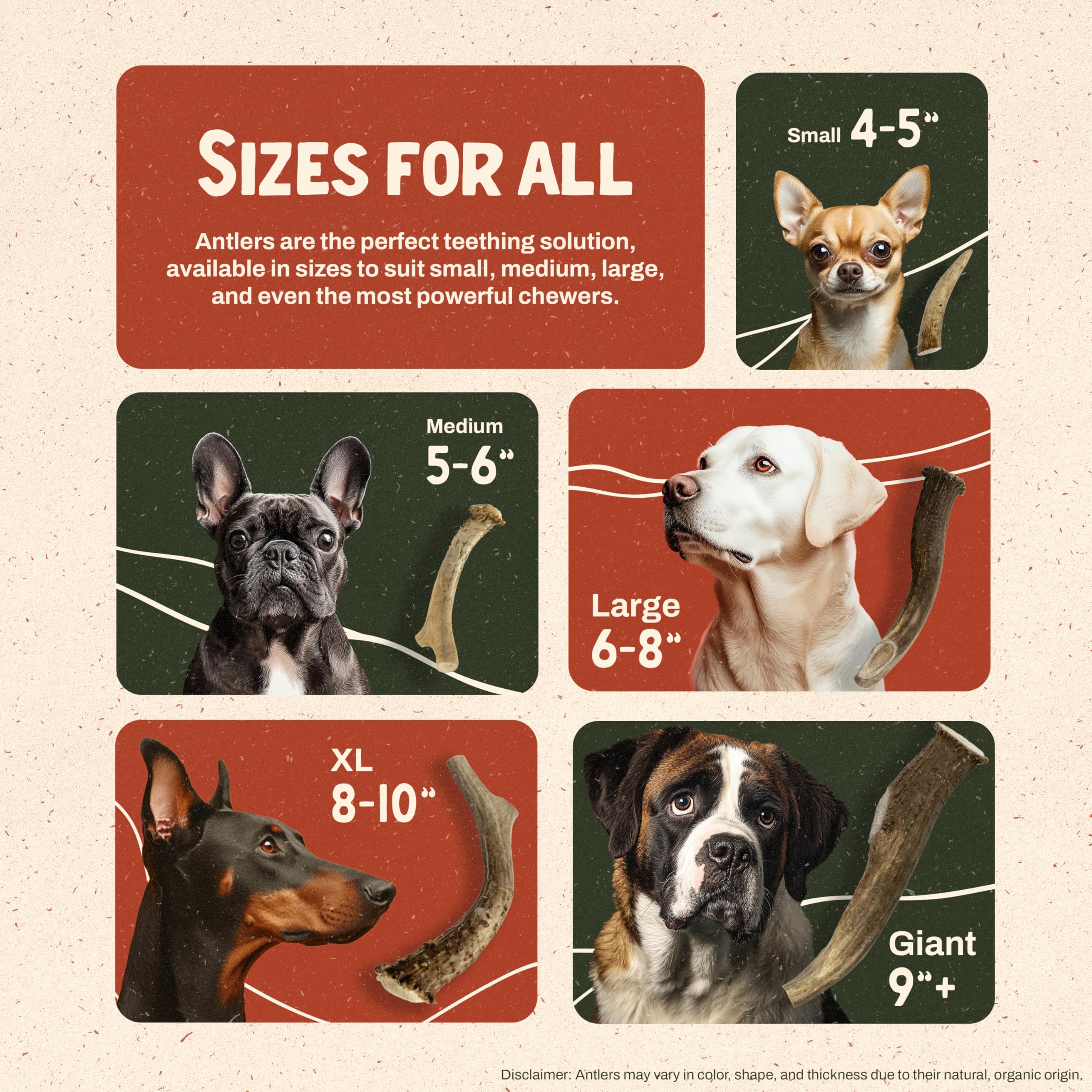 Heartland Antlers: talla mediana para perros de tamaño medio.