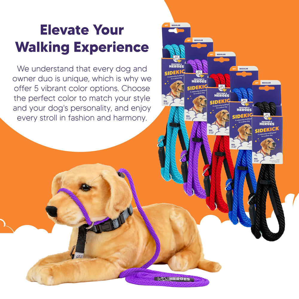 Heather's Heroes fortalece el vínculo, entrenamiento y conexión con tu perro.