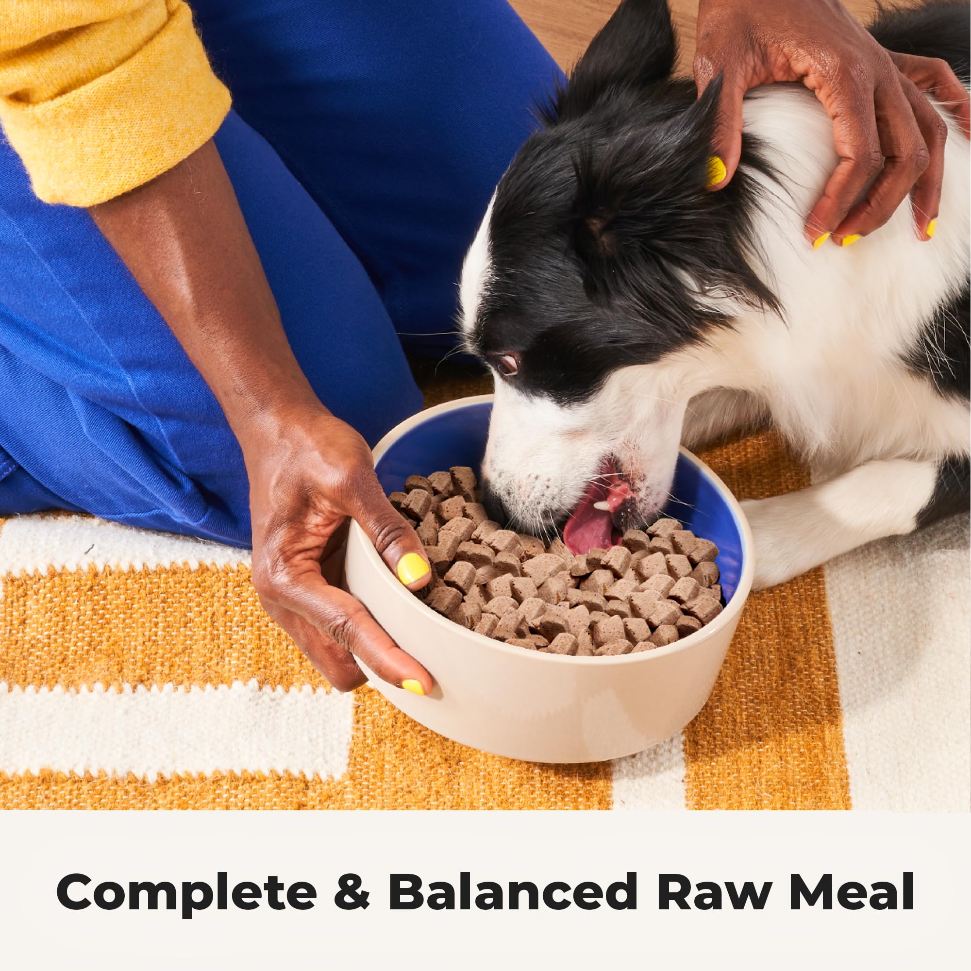 Vegetales y granos en Heckova Bow Wow Beef para digestión equilibrada