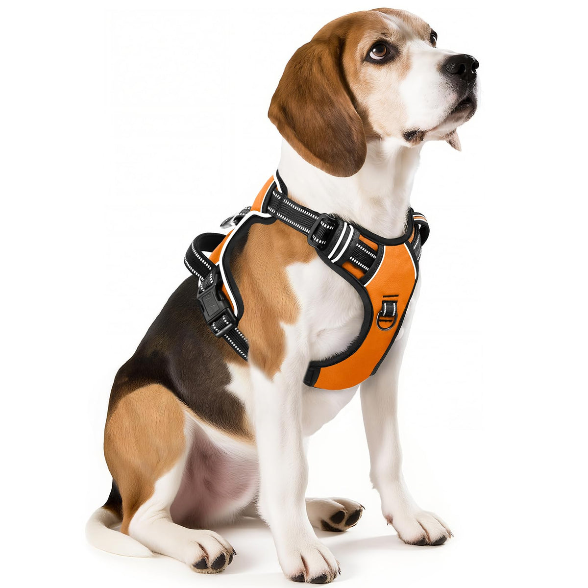HEELE arnés para perros, vista frontal, cómodo y seguro para paseos diarios.