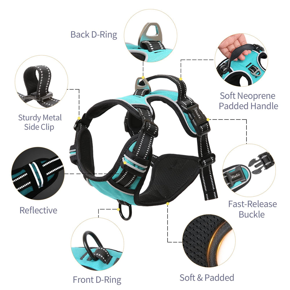 Arnés HEELE para perro pequeño, ajuste con cuatro correas para un ajuste perfecto.