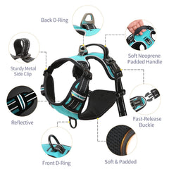Arnés HEELE para perro pequeño, ajuste con cuatro correas para un ajuste perfecto.