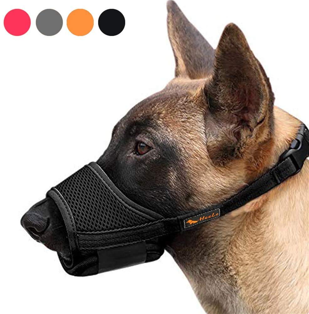 Bozal HEELE para perro ajuste cuello, sujeción segura.