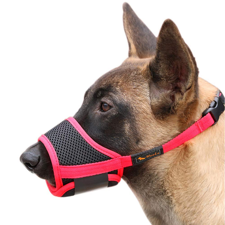 Bozal HEELE para perro con ajuste de cuello y seguridad.