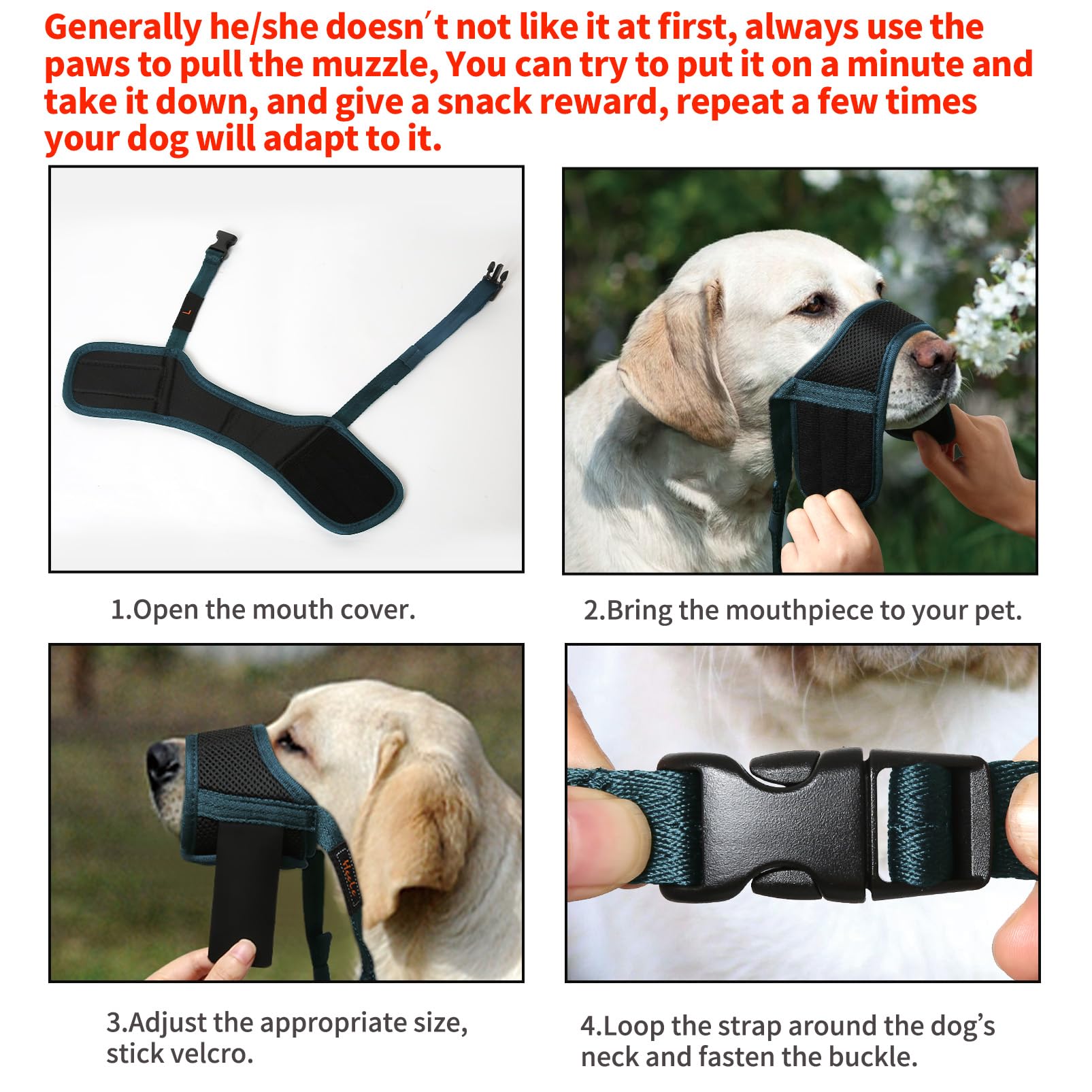 Bozal HEELE para perro, diseño humano que facilita beber durante la socialización.