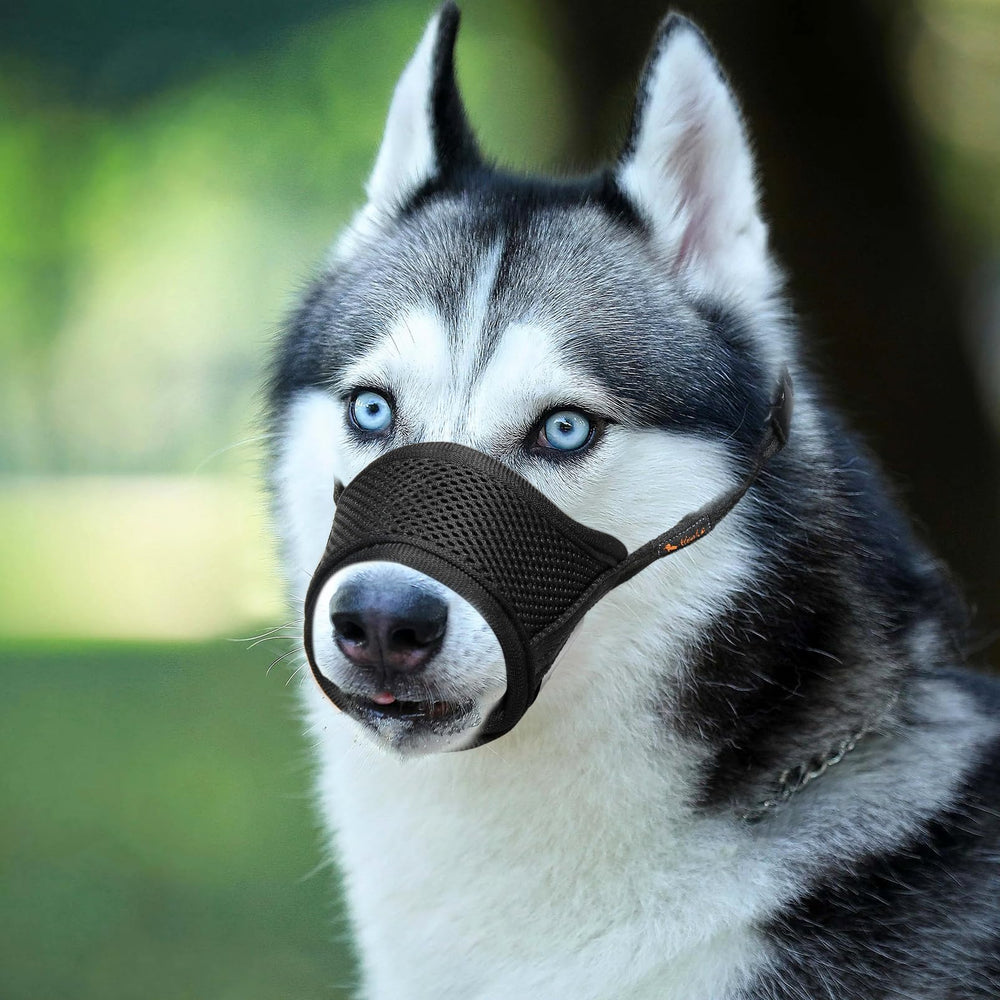 HEELE bozal para perros, compatible con distintos tamaños para hogar y paseo.