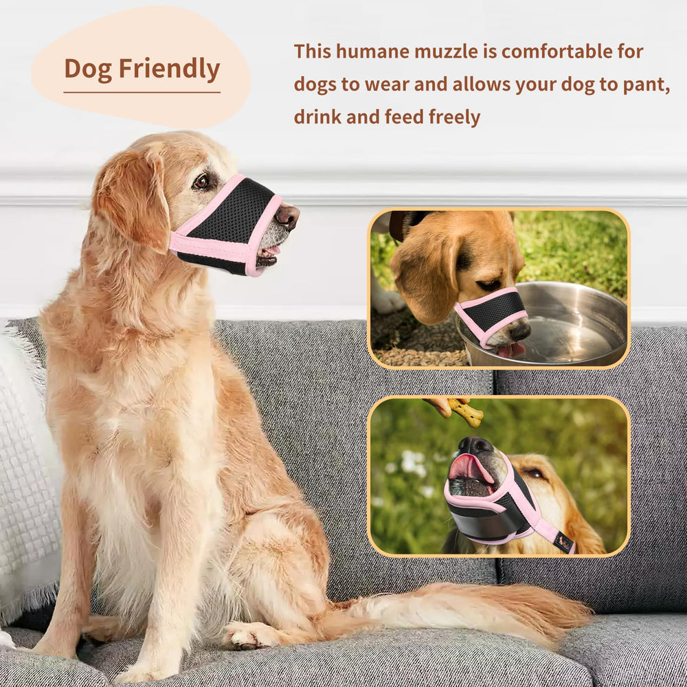 Tallas y colores variados de HEELE para diferentes perros.