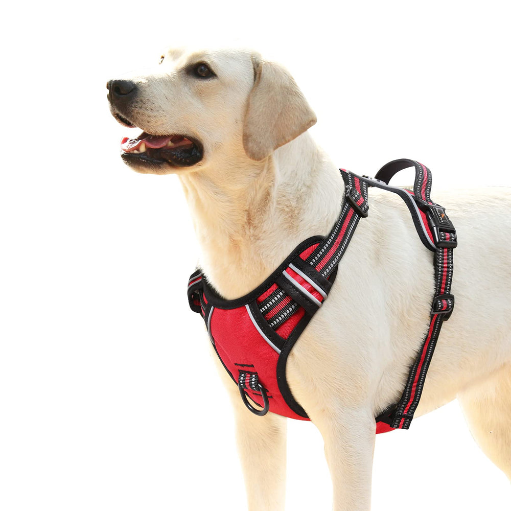 ARNÉS PARA PERROS HEELE, vista frontal, ajuste cómodo para paseos seguros.
