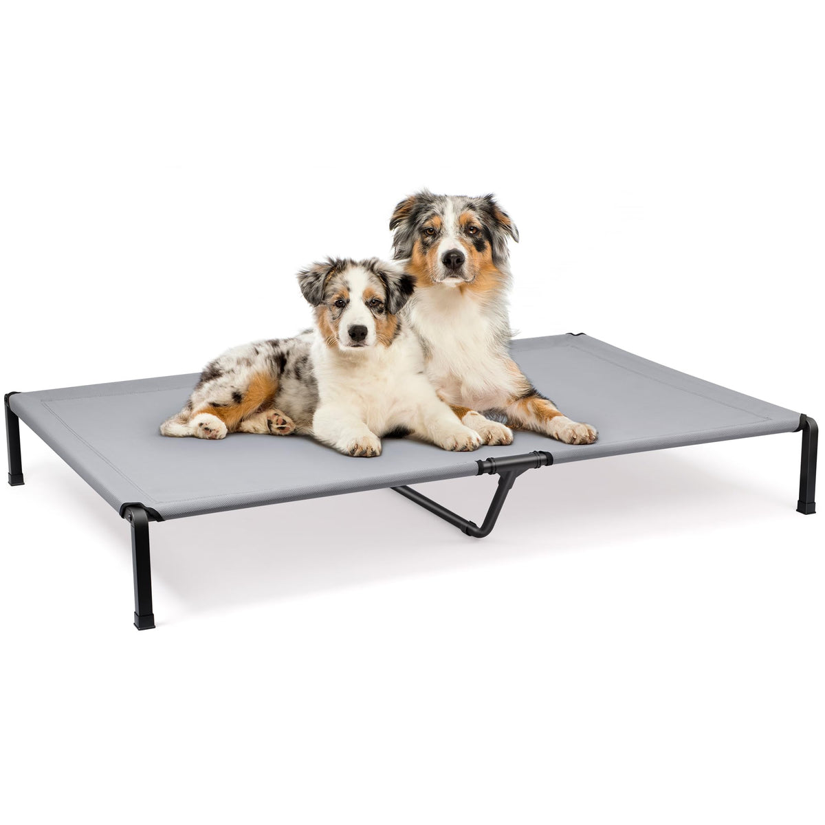 Heeyoo cama elevada para perros con malla resistente, mantiene al perro fresco y cómodo.