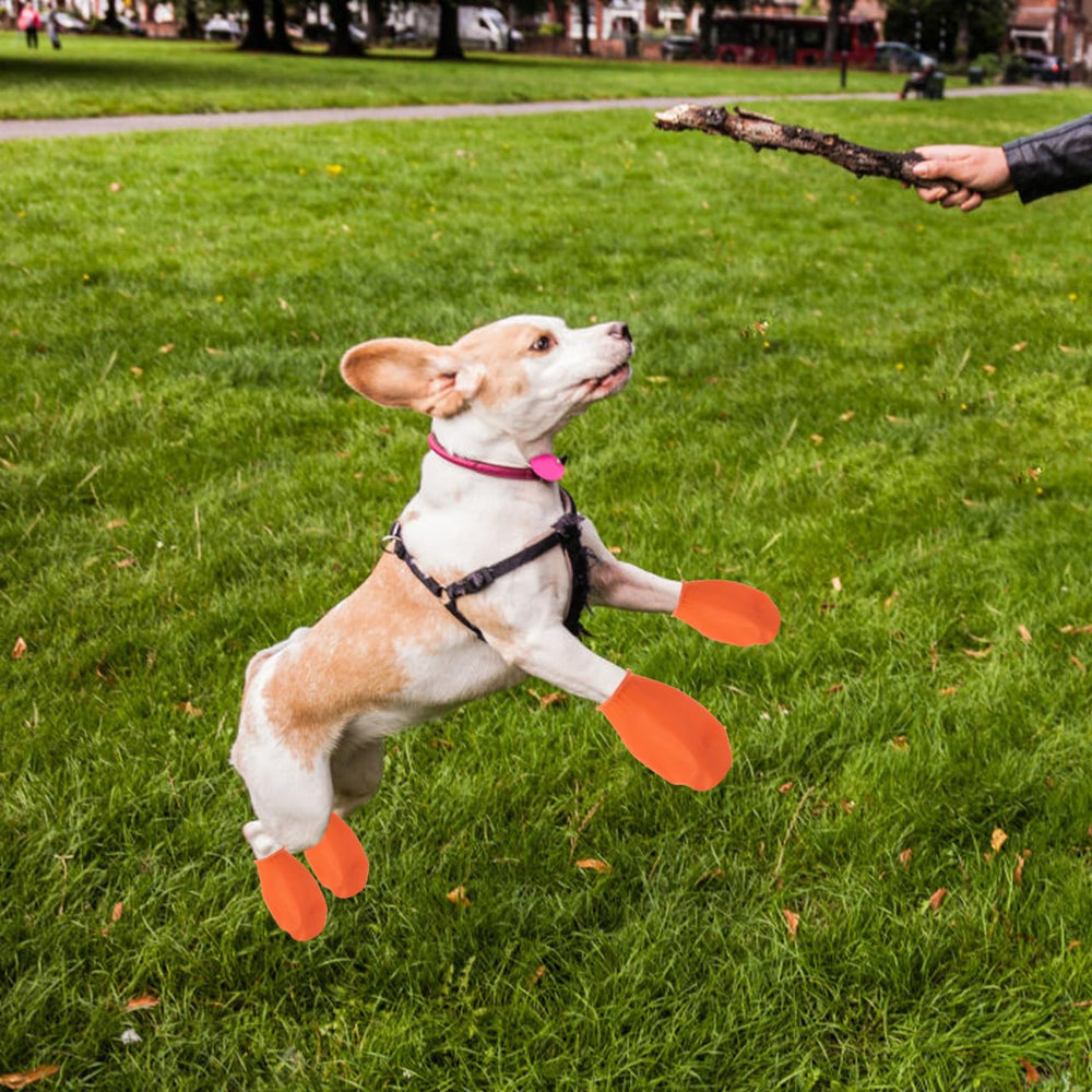 Hemobllo zapato para perro naranja tamaño M; ayuda a mantener la casa limpia.