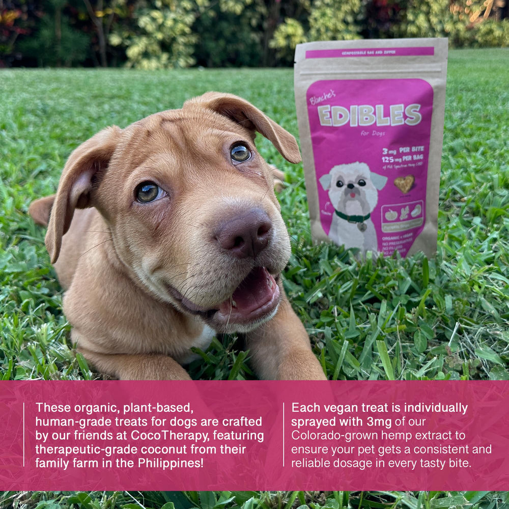 Hemp Dog Health Blanche, presentación premium hecha en Estados Unidos