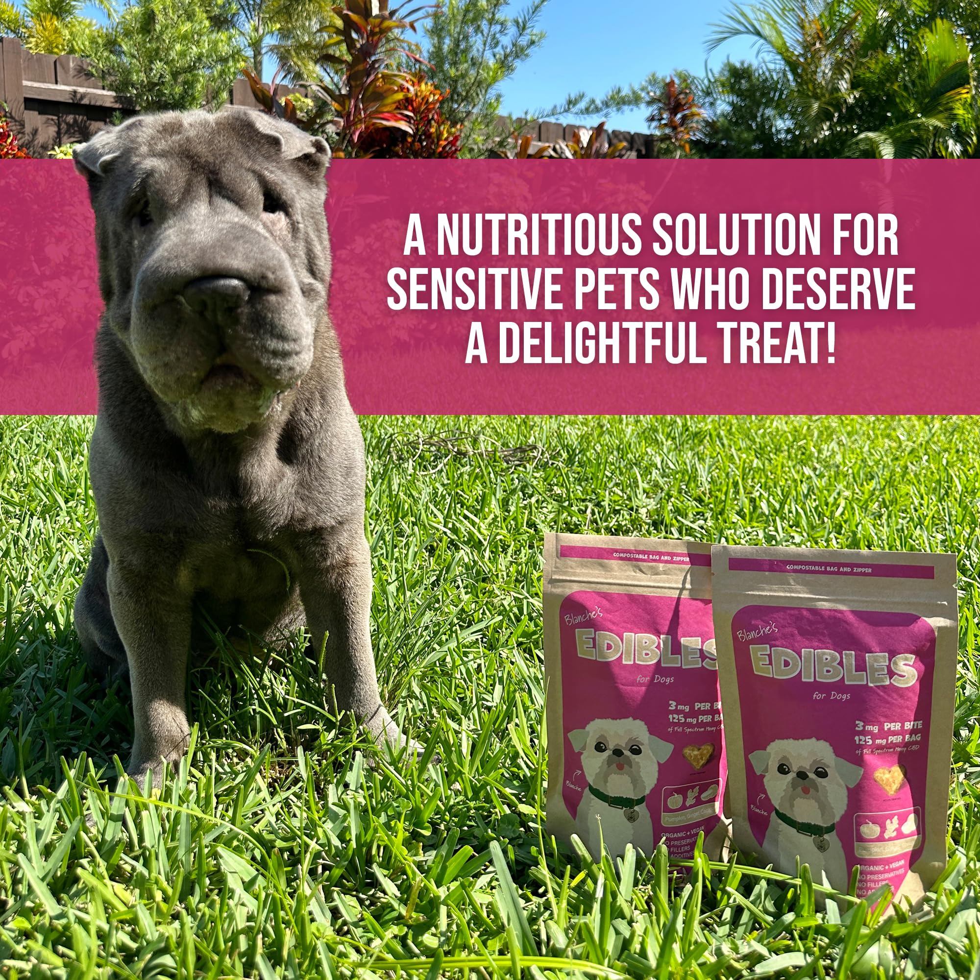 Hemp Dog Health Blanche, textura blanda ideal para perros sensibles al masticar