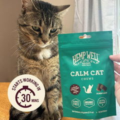 Calm Cat de Hemp Well mejora el comportamiento en viajes y visitas al veterinario