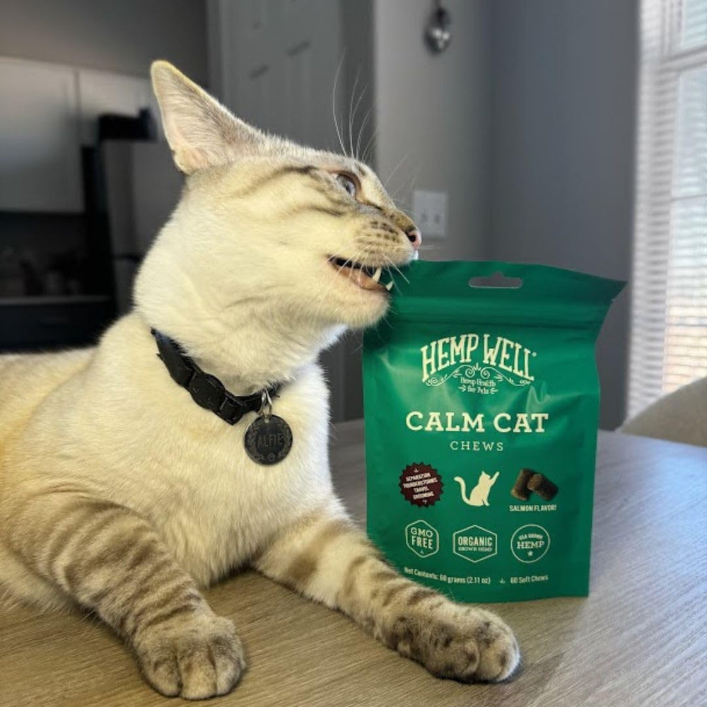 Relajación tras visitas al peluquero con Hemp Well Calm Cat