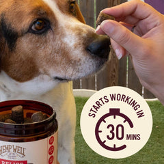 Hemp Well Relief, fuente de Omega-3 y Omega-6 para perros activos y sanos.