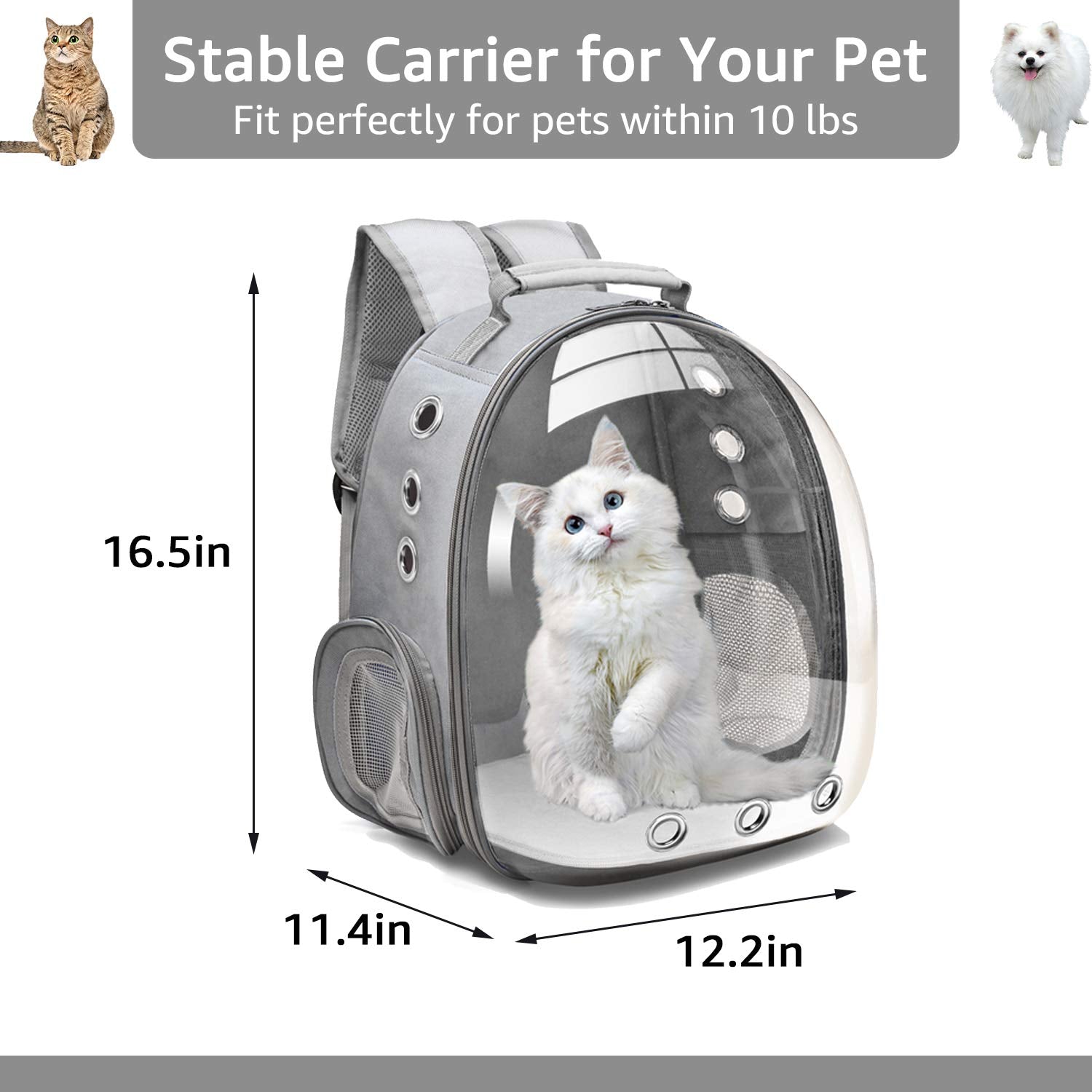 Henkelion bolsa cápsula espacial para perros y gatos, dorso, mejora la visibilidad al caminar