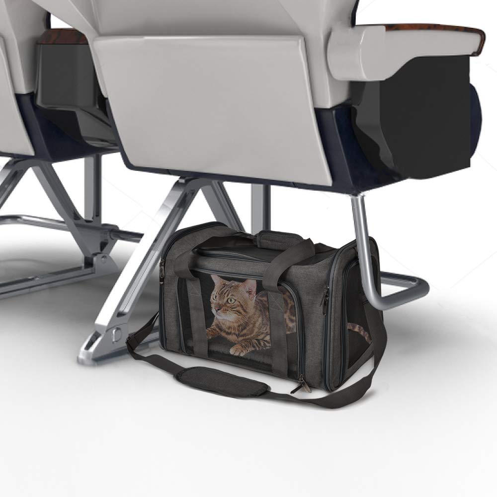 Henkelion transportín con diseño plegable para guardar rápido.