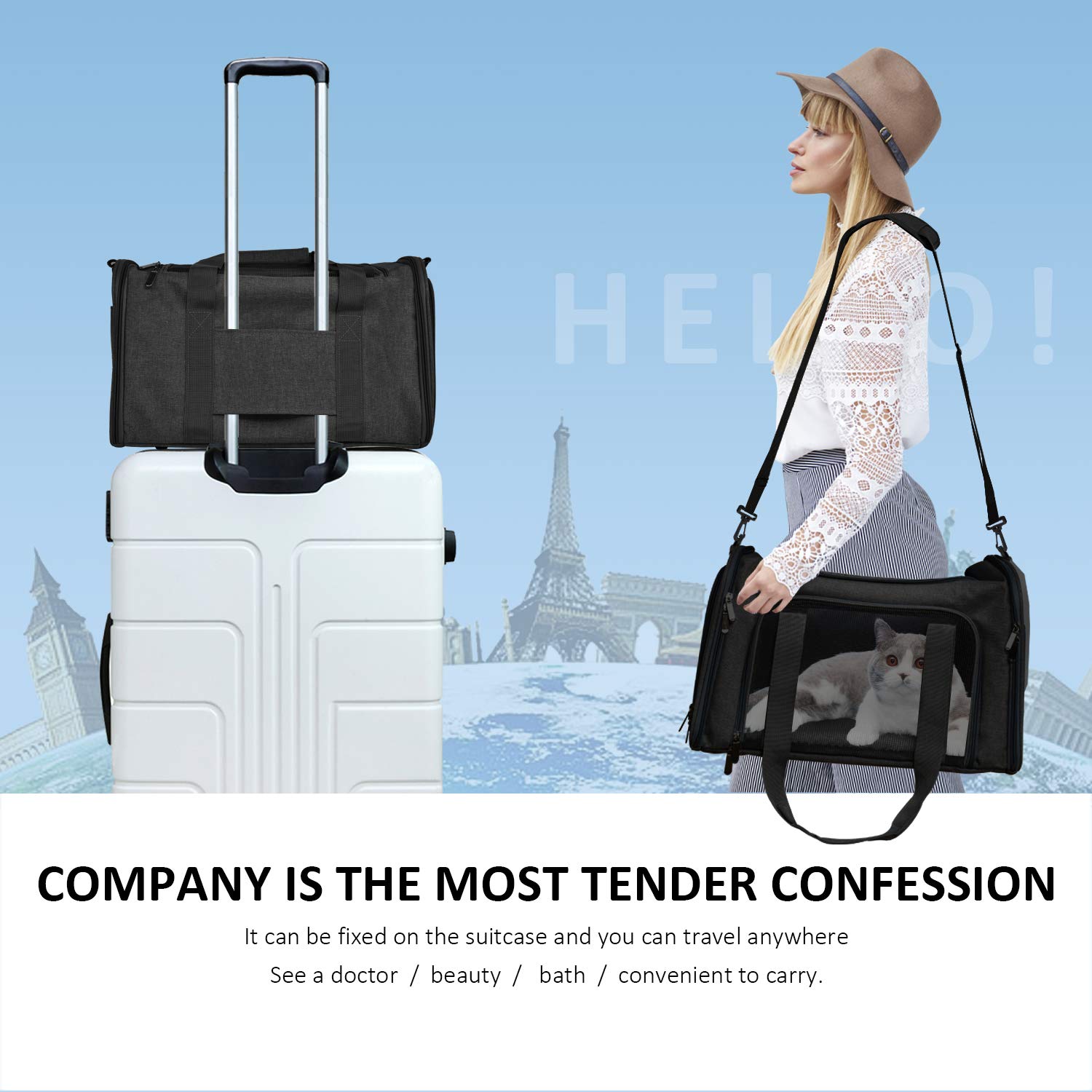 Henkelion Porta-Mascotas Grande Suave, almacenamiento compacto para guardar en casa.