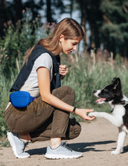 heouvo clicker de entrenamiento para perros en uso