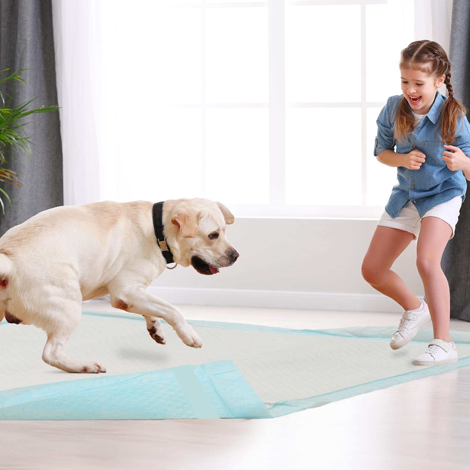 Pañales HEPPYPLUS para perros, diseño fiable para entrenamiento diario.