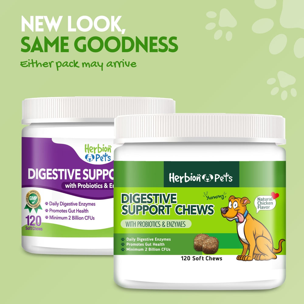 Herbion Pets: probioticos 2 mil millones, equilibrio intestinal posible