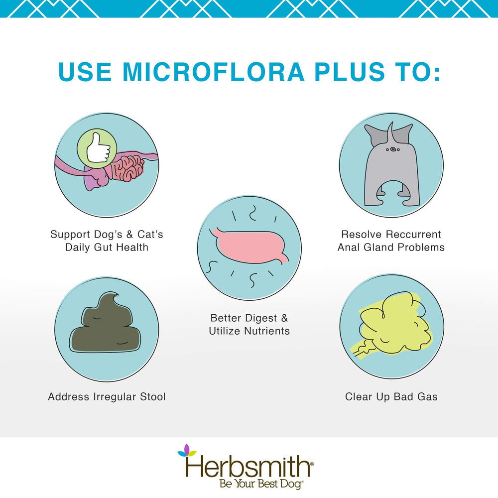 Cápsulas de Herbsmith Microflora Plus en primer plano
