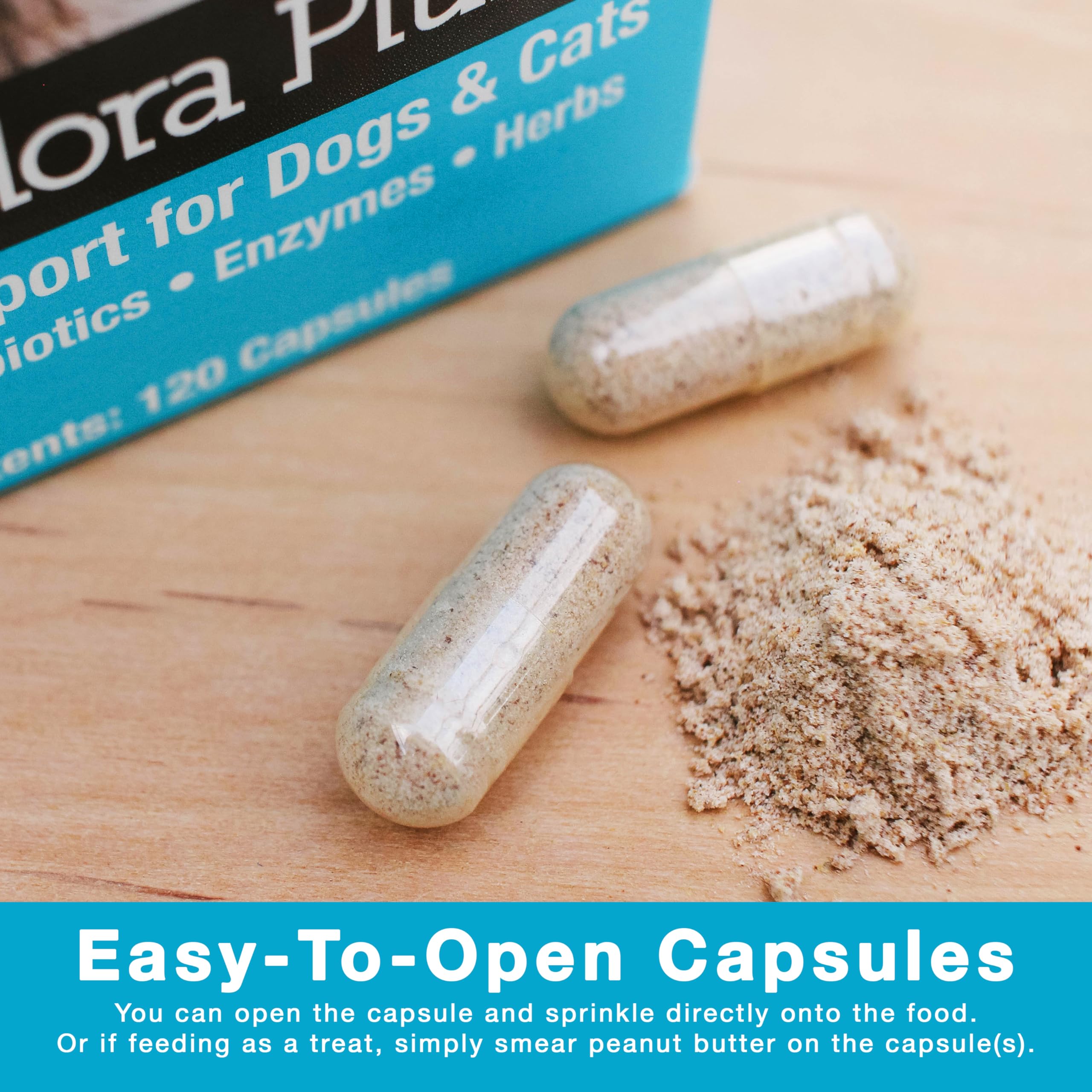 Perro contento tras tomar Microflora Plus