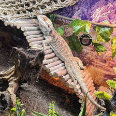 HERCOCCI enredadera jungla flexible, decoración realista y resistente al agua para el terrario.