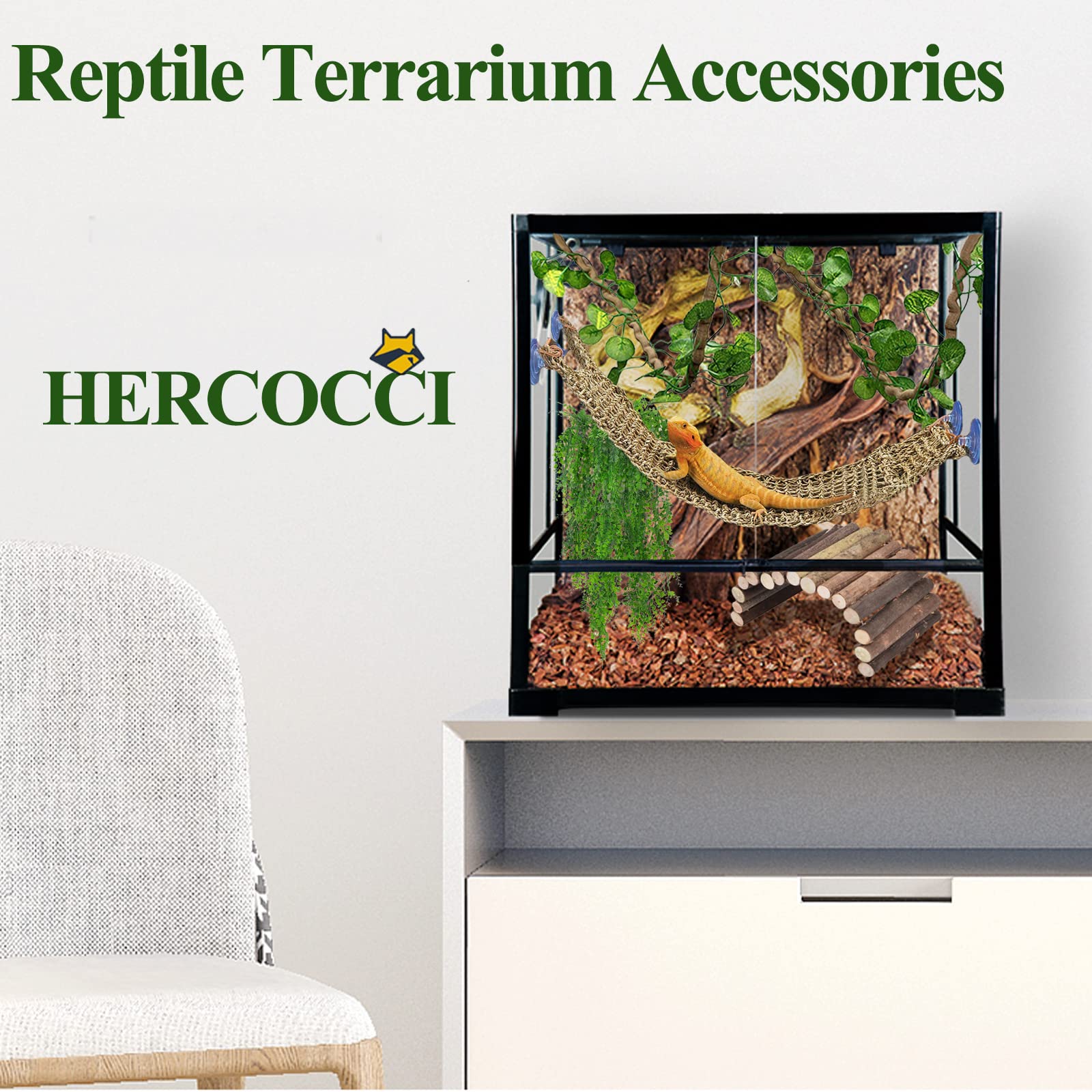 HERCOCCI plantas sujecion terrario 02, decoración estable para el terrario.