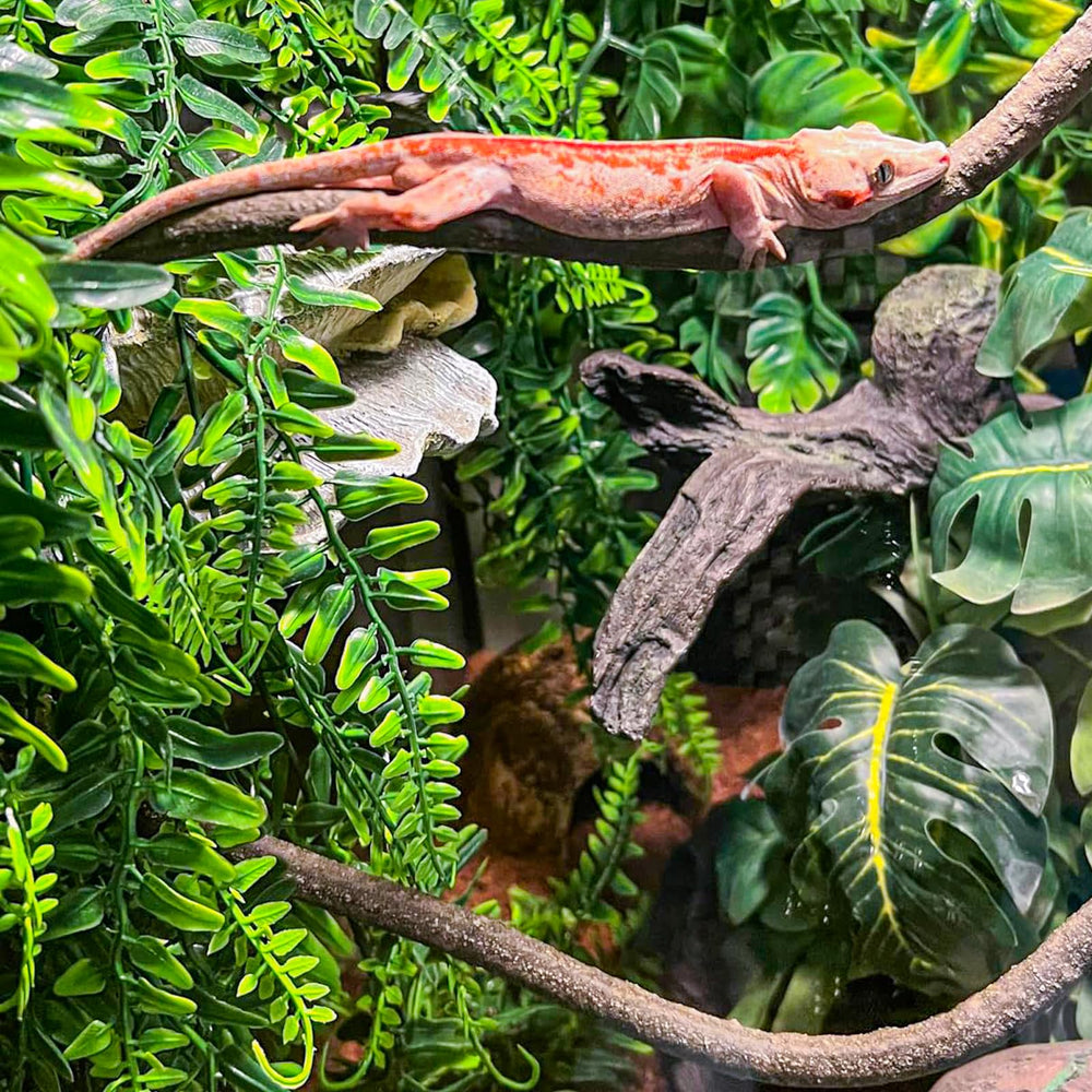 HERCOCCI planta colgante para reptiles, añade vegetación natural