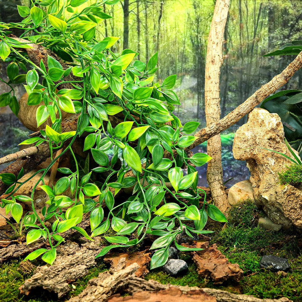 HERCOCCI Reptile Plants ambiente-natural: imita el hábitat y promueve exploración.