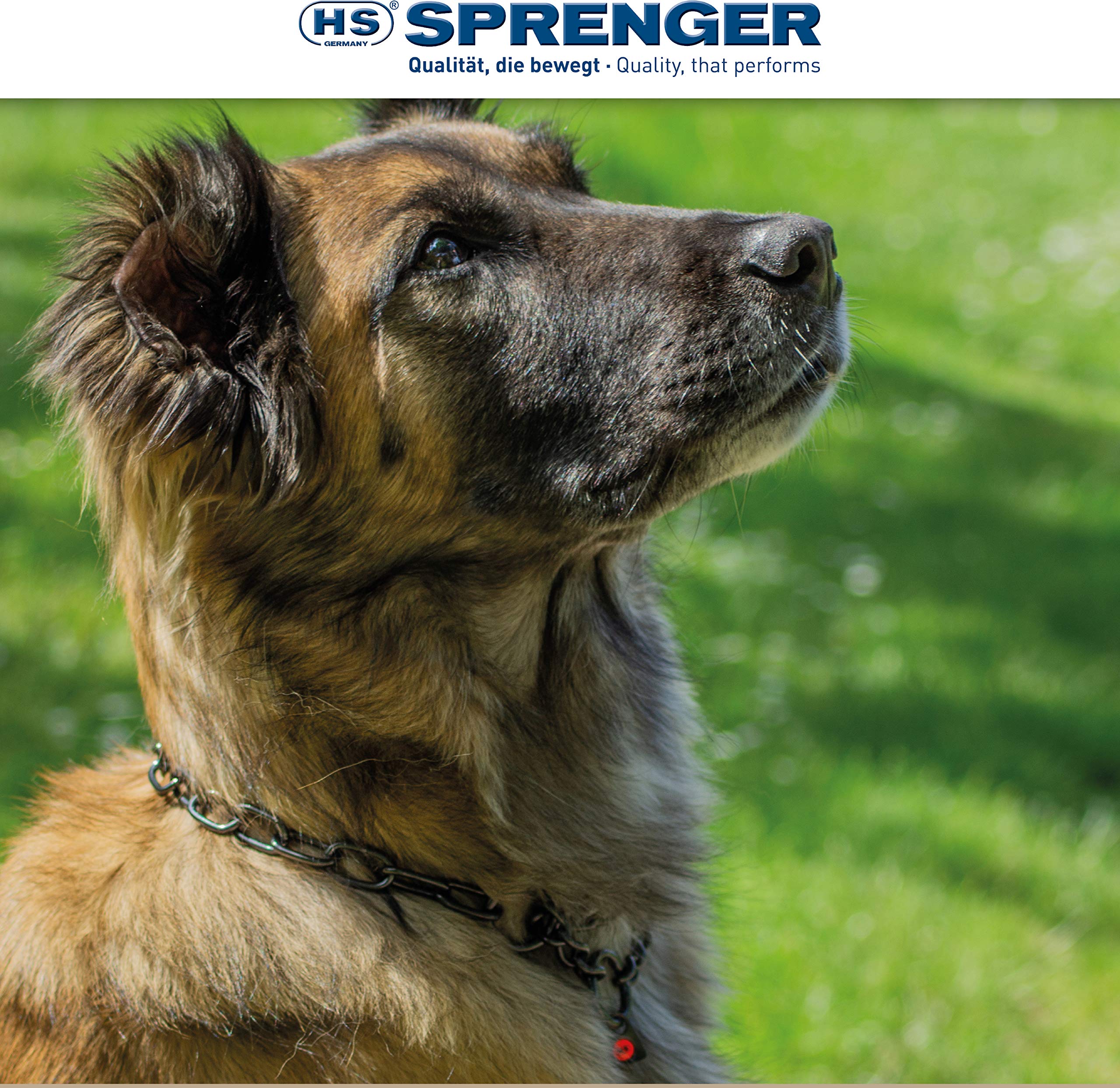 Collar Herm Sprenger con enlaces medianos para mejor control durante el paseo