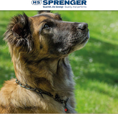Collar Herm Sprenger con enlaces medianos para mejor control durante el paseo