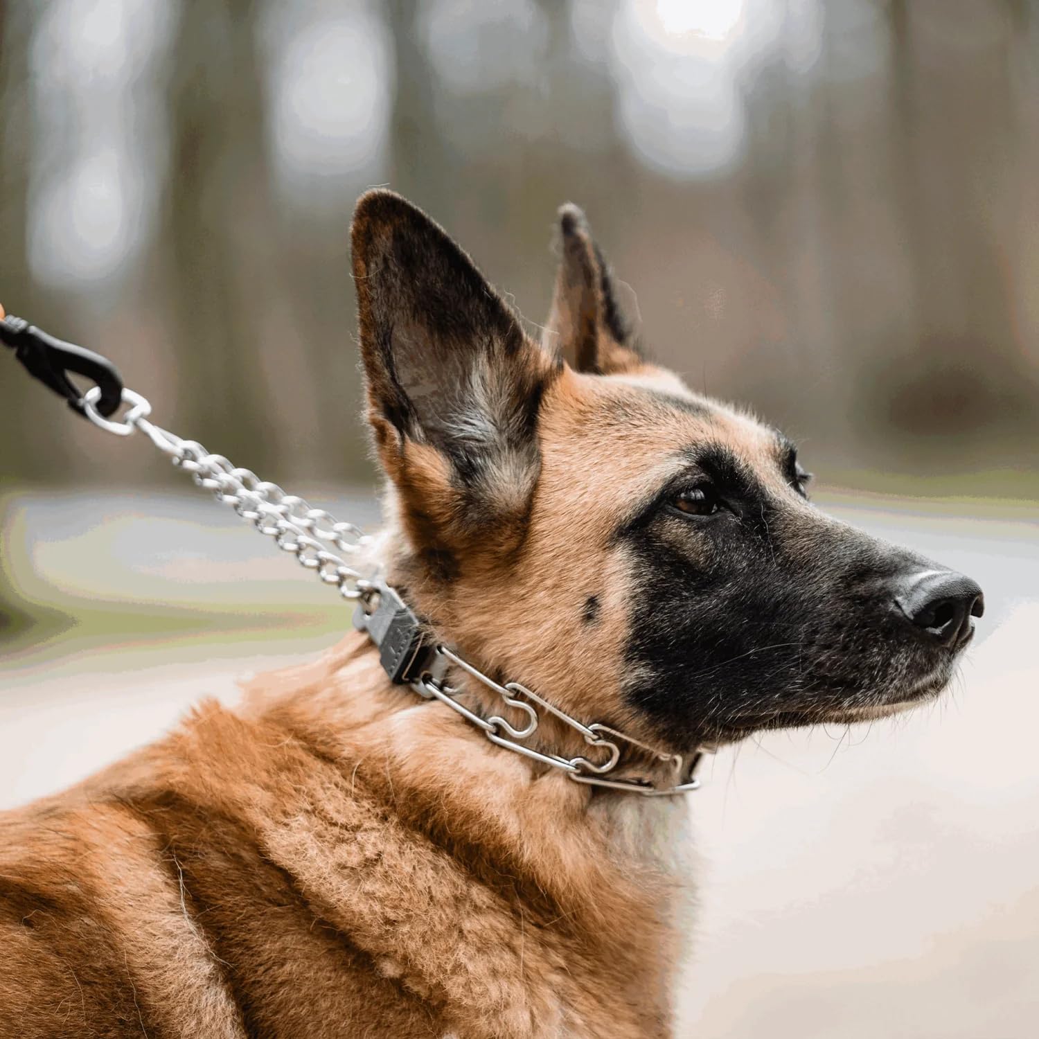 Herm Sprenger collar entrenamiento 41 cm longitud ajustable