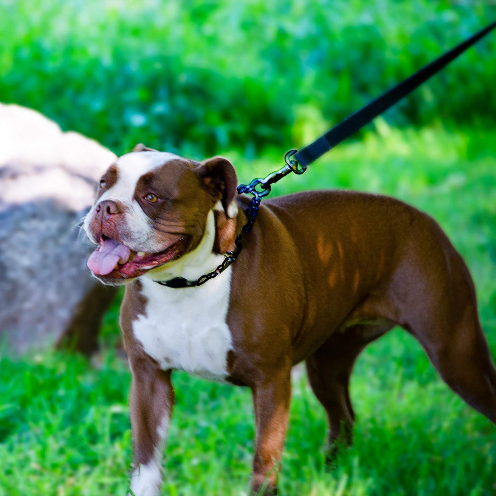 Collar Herm Sprenger ajuste suave y seguro para correcciones puntuales.
