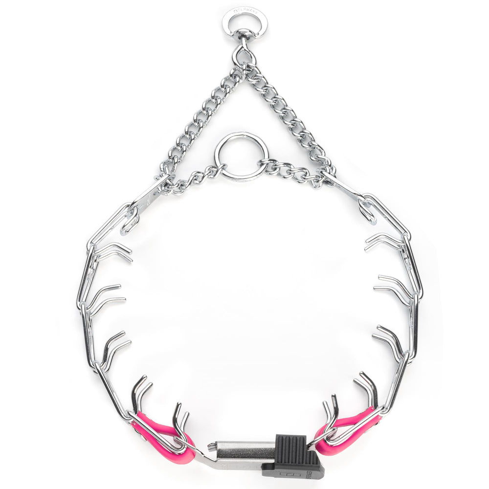 Collar Herm Sprenger con púas para control durante el entrenamiento.