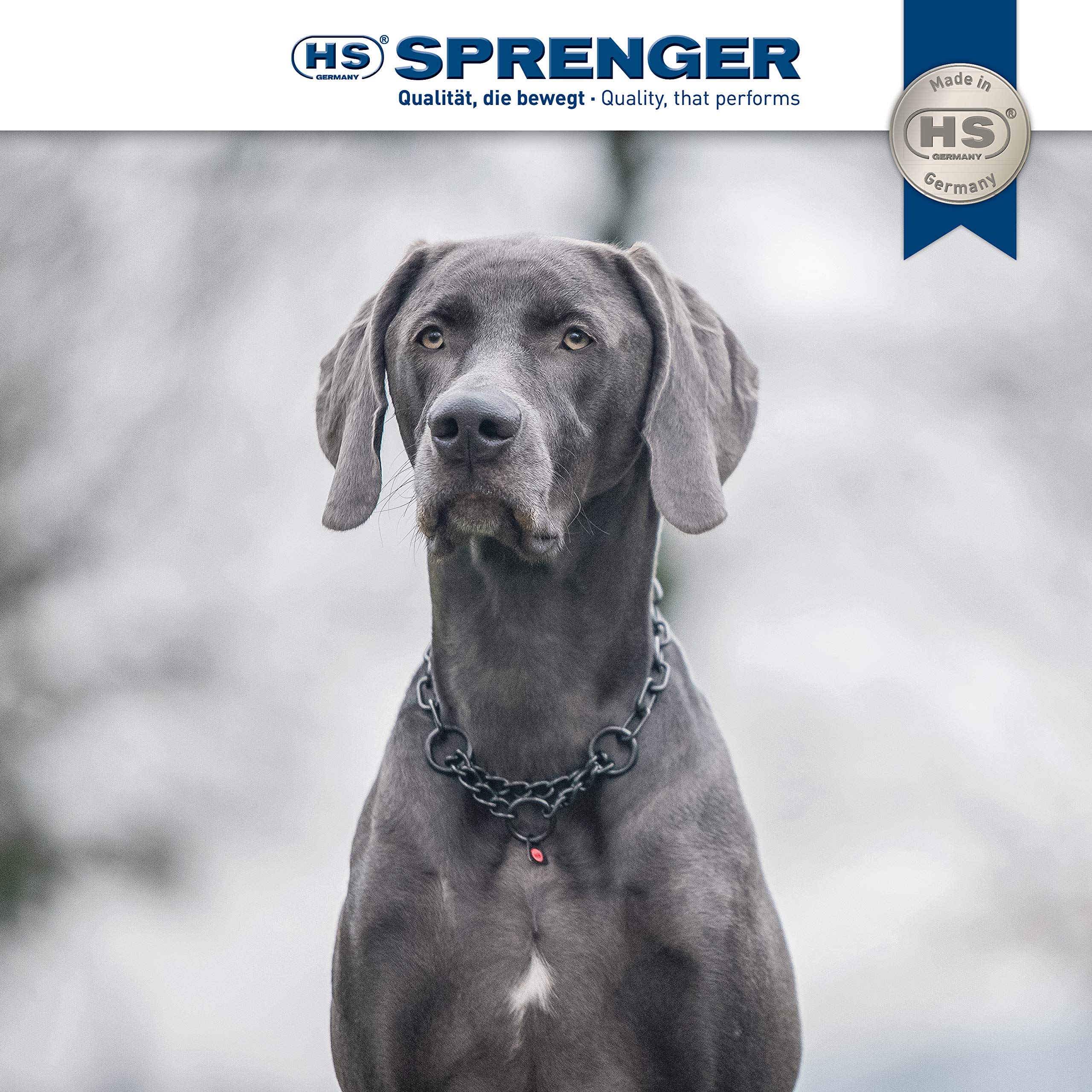 Collar Herm Sprenger tamaño medio para cuellos de 41 a 44 cm