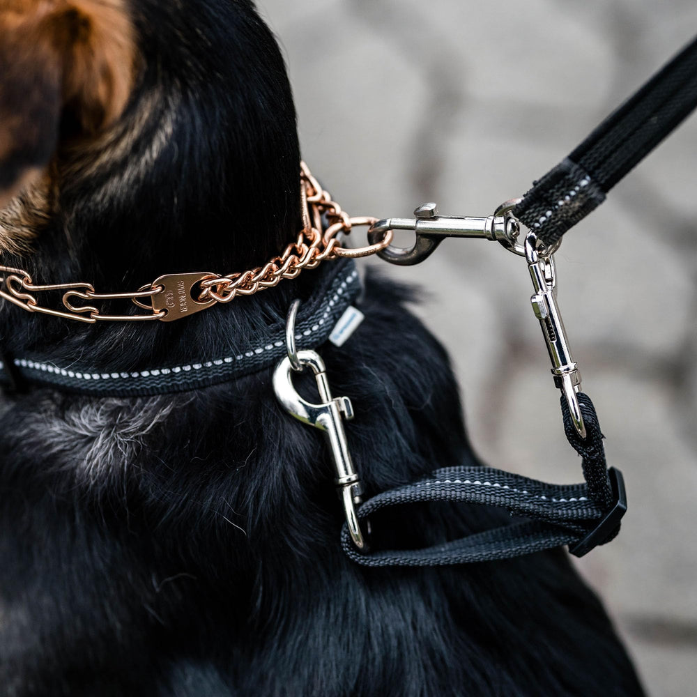 Herm Sprenger conexión doble para seguridad de correa y collar durante paseos.