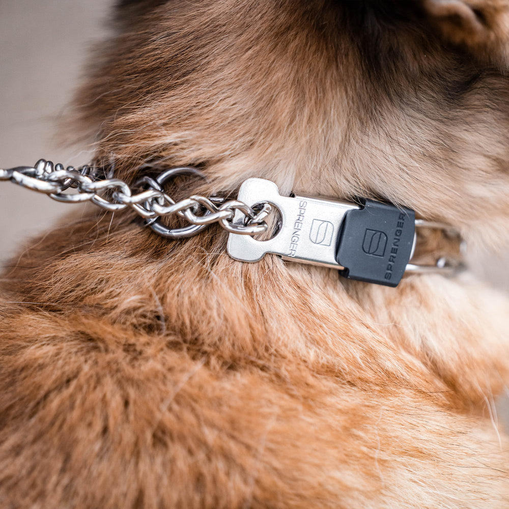 Ingeniería alemana del collar Herm Sprenger para perros de alta calidad