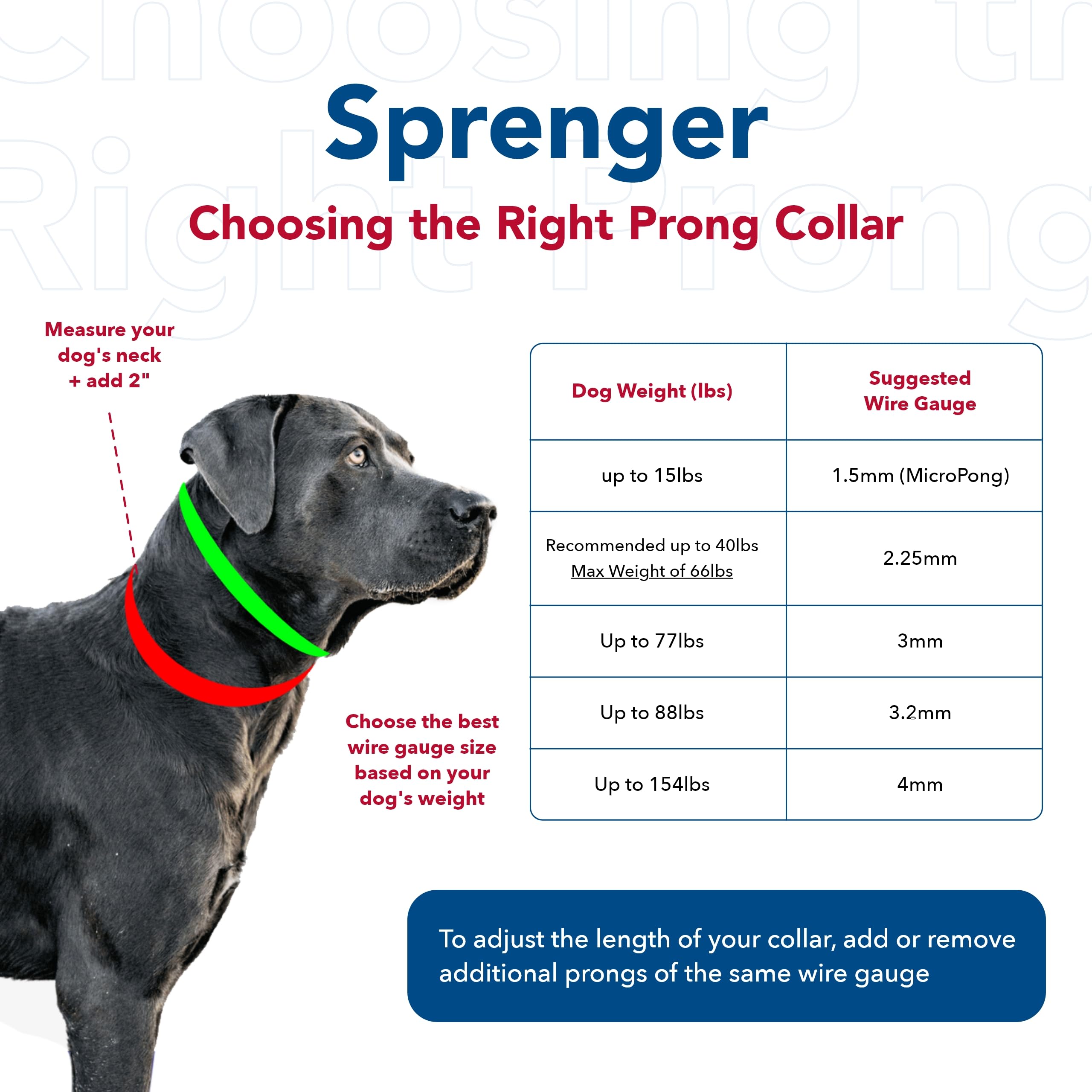 Diseño ergonómico del collar para uso diario supervisado.