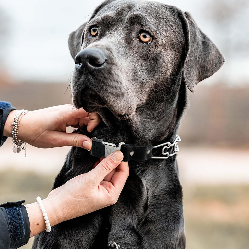 Uso diario y caminatas seguras con Herm Sprenger