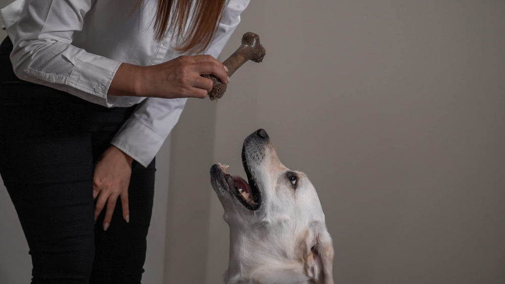 Hero Bonetics hueso para perros grandes, aromas variados para encontrar el favorito.